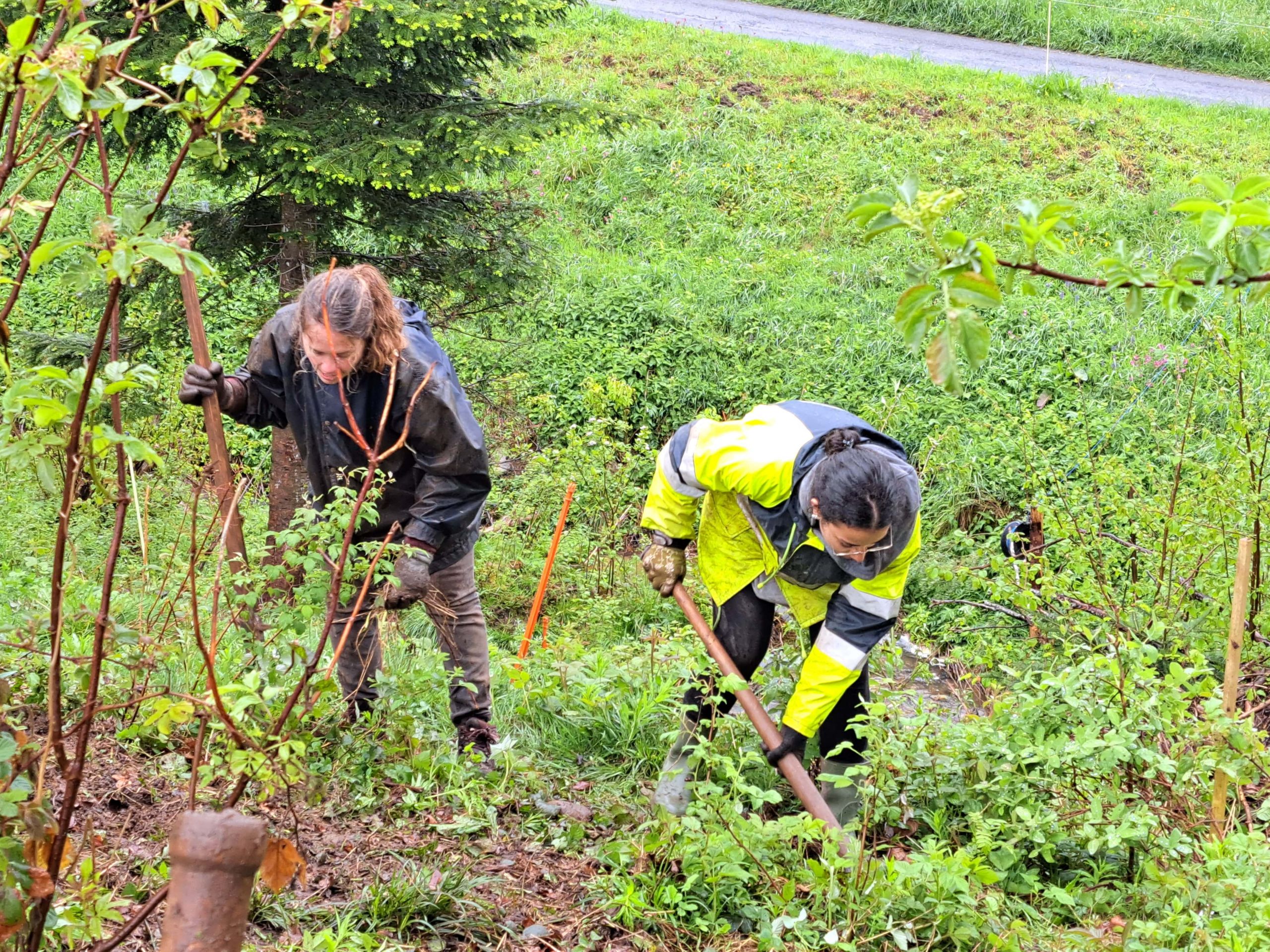 Ein Arbeitstag in Gibswil