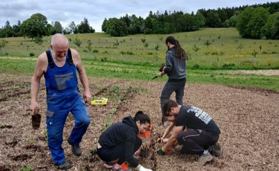 L&#8217;engagement de la maison Cartier a permis d&#8217;accélérer ces travaux de plantation.