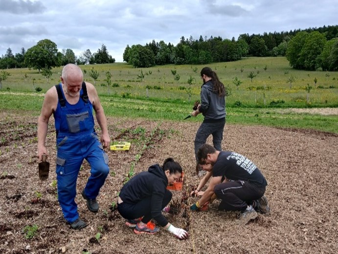 L&#8217;engagement de la maison Cartier a permis d&#8217;accélérer ces travaux de plantation.