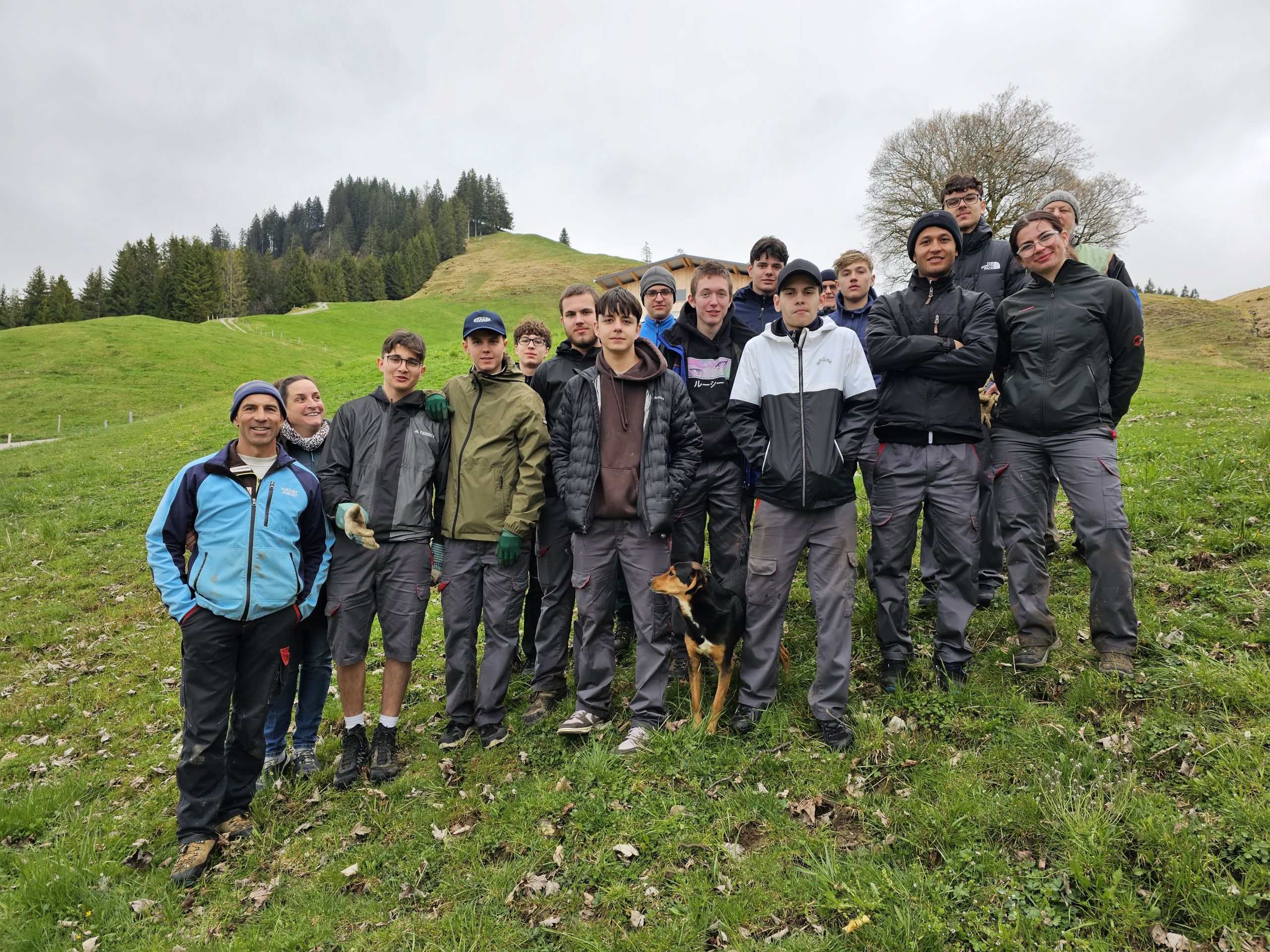 Einsatz der Reishauer AG auf einem Alpbetrieb im Eriztal