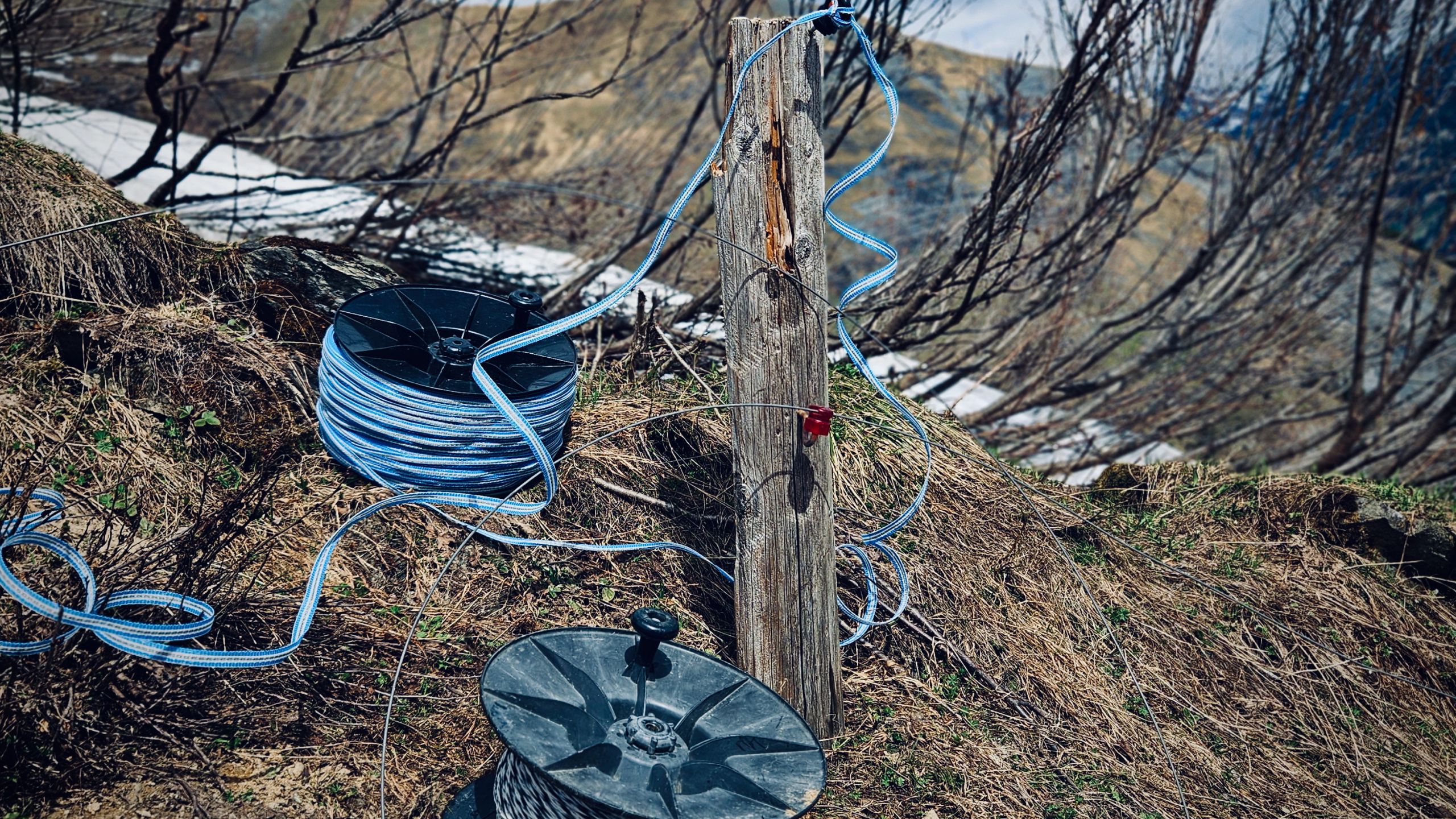 Einsatz der Business Transaction AG auf der Alp Empächli