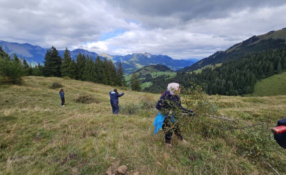 Realschule Oberfricktal im Einsatz in Bolligen