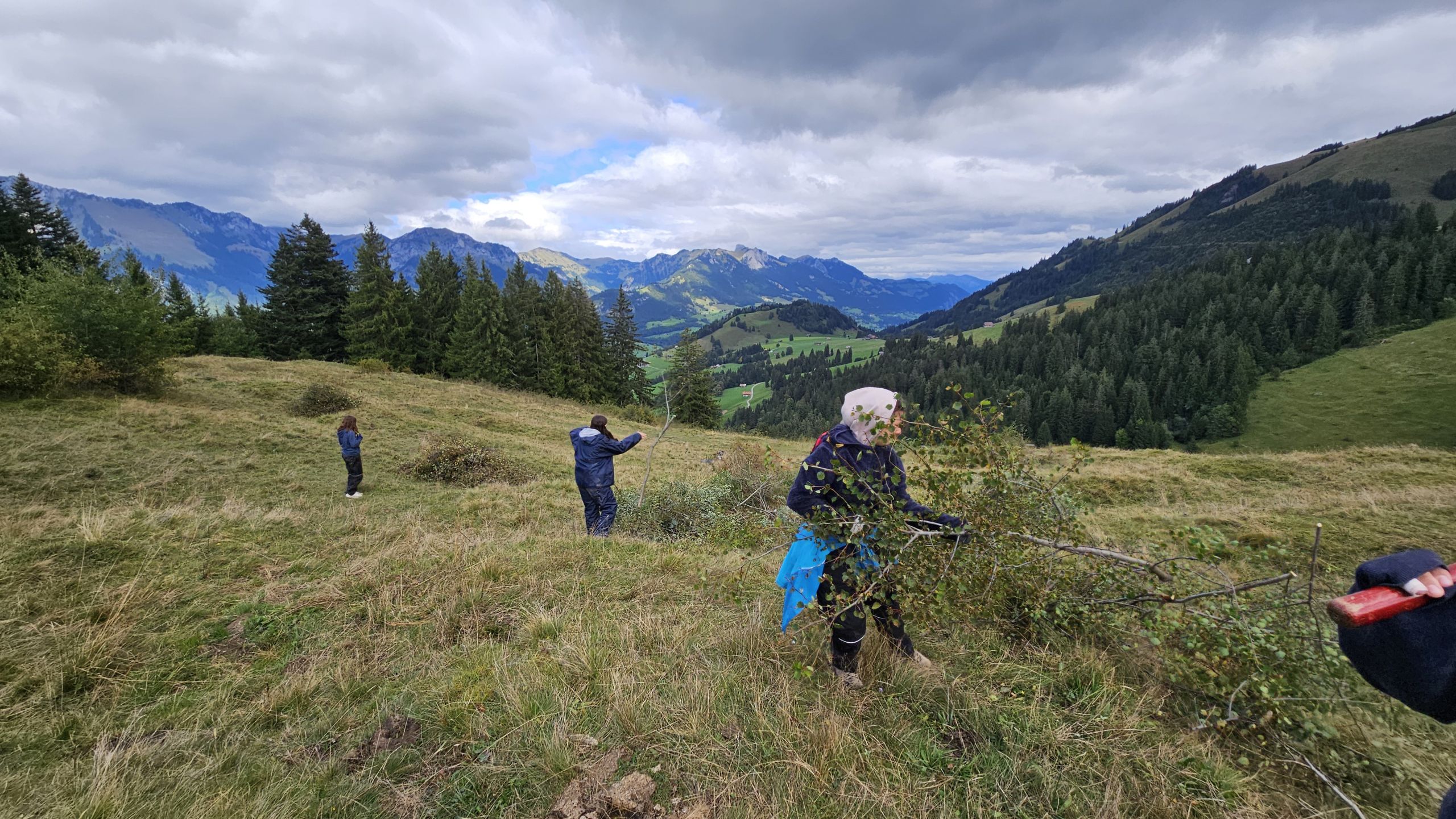 Eine Schulklasse beim «Schwenten» auf der Alp «Chrine»