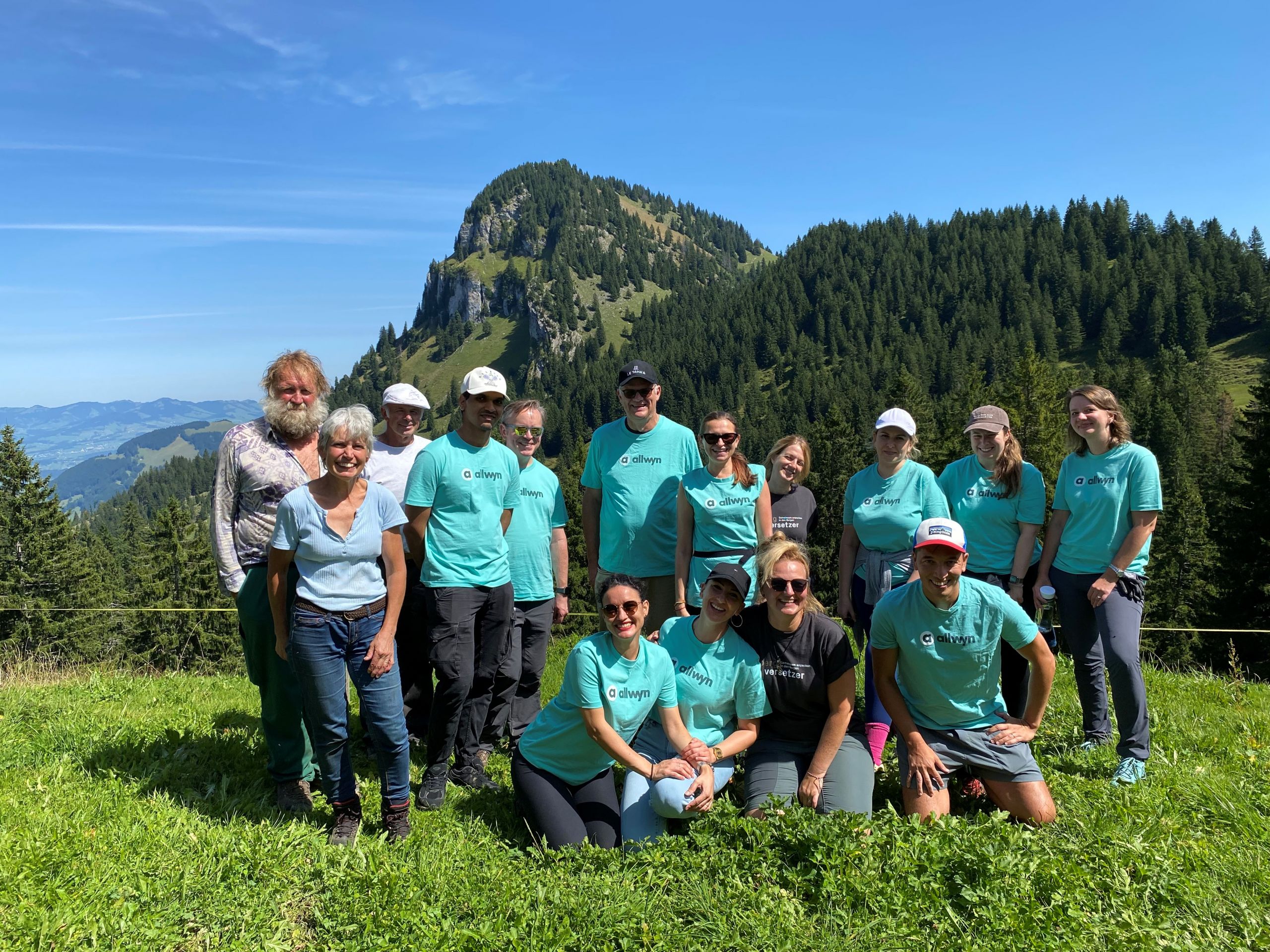 Kampf der Verbuschung: Einsatz Firma allwyn auf der Alp Ober Alten