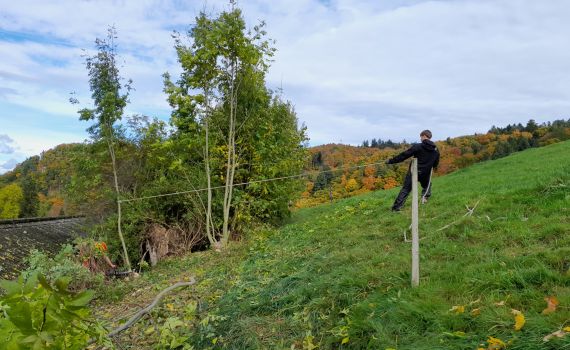 SchülerInnen im Einsatz auf der Oschwand