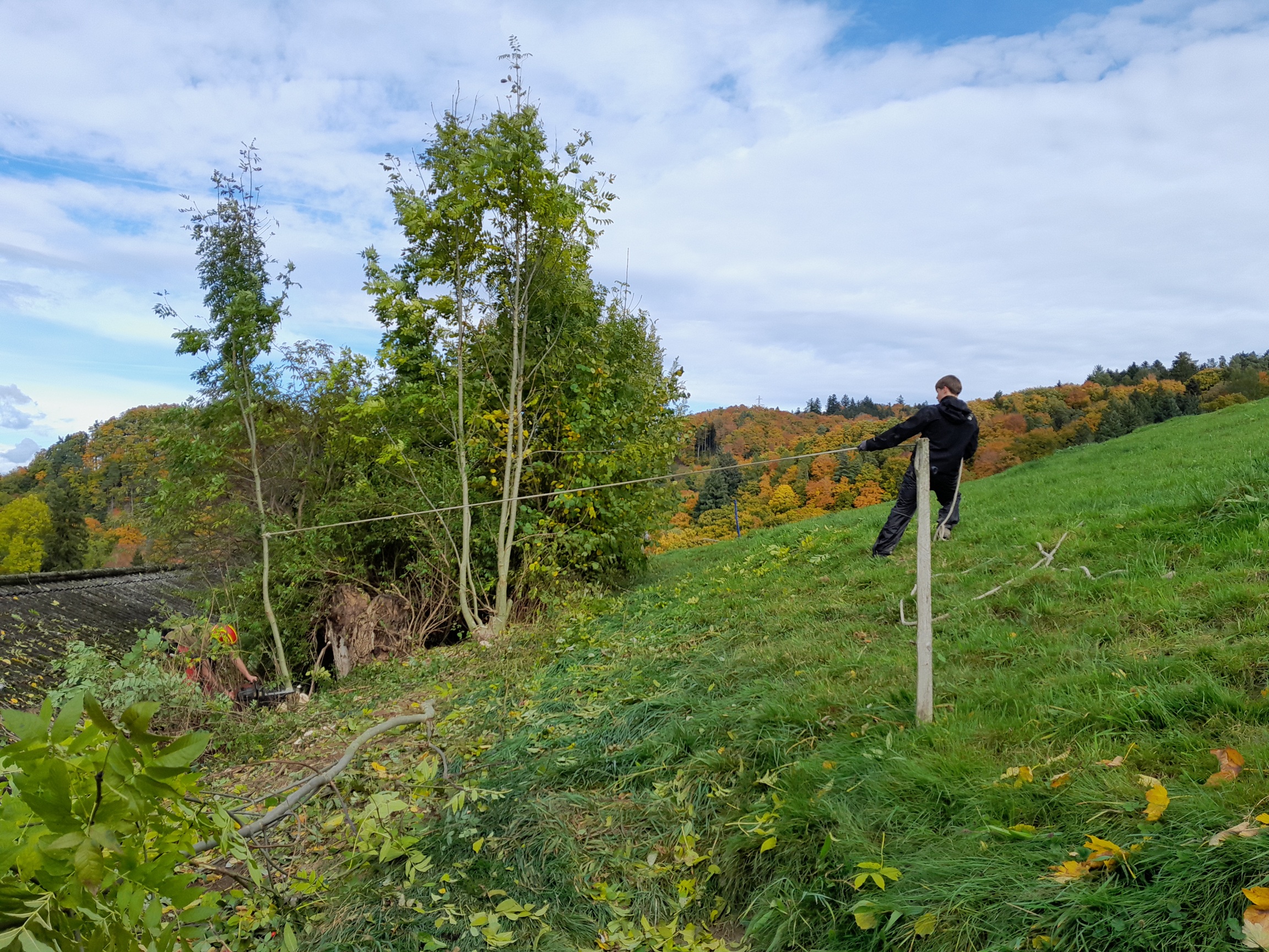 SchülerInnen im Einsatz auf der Oschwand
