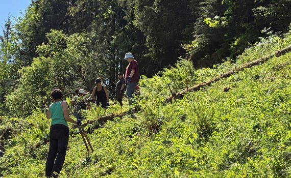 Beeindruckende Teamarbeit in Wald und Weide auf dem Hof Schönisey
