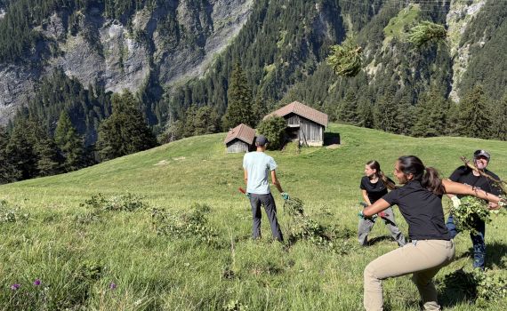 Umweltwoche der Kanti Freudenberg im Naturpark Beverin
