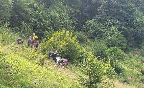 Schulklasse aus Spiez im Einsatz auf der Axalp