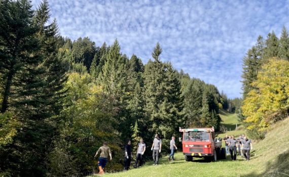 Service für Alpweiden der Rigi